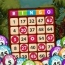 Bingo Games