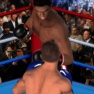 Fighting Games